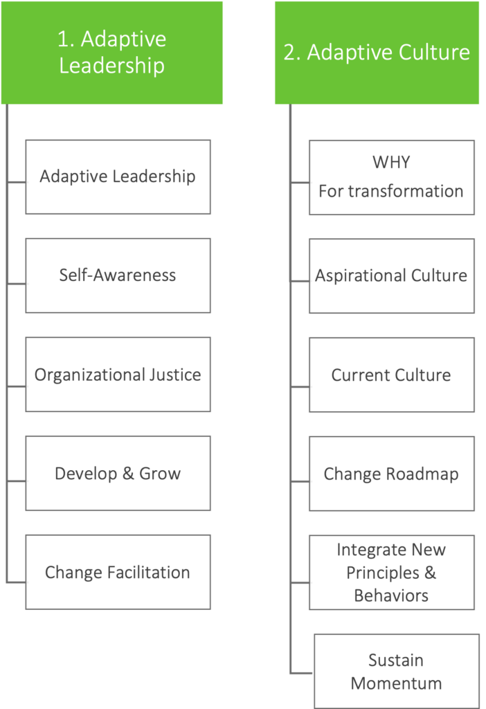 Adaptive Leadership & Culture