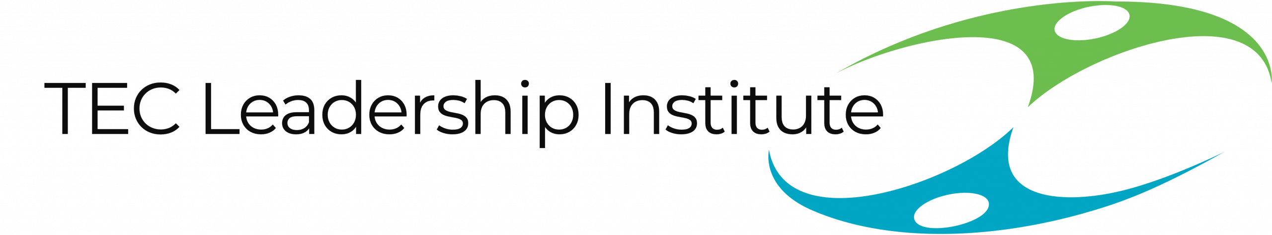 TEC Leadership Institute GbH