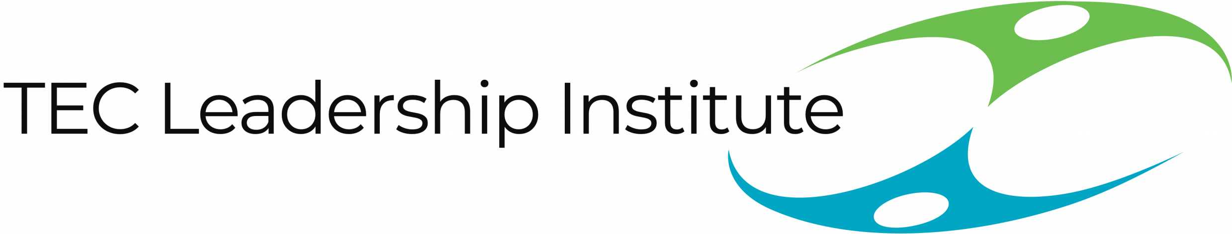TEC Leadership Institute GbH